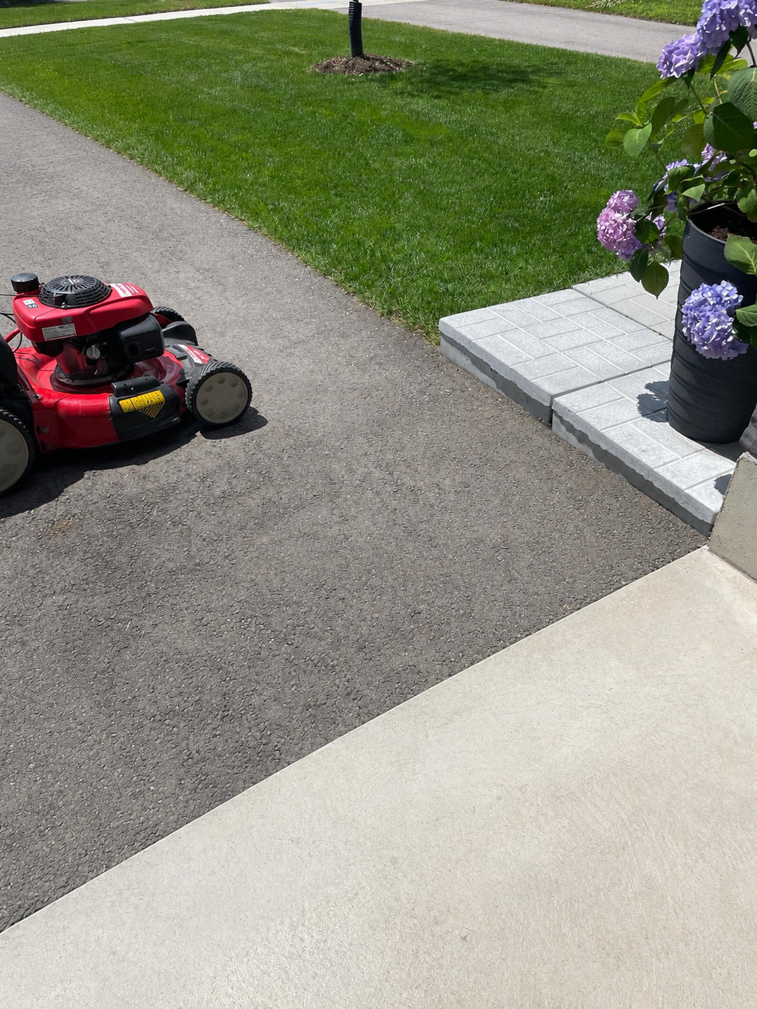 Freshly cut grass on Middleton Street
